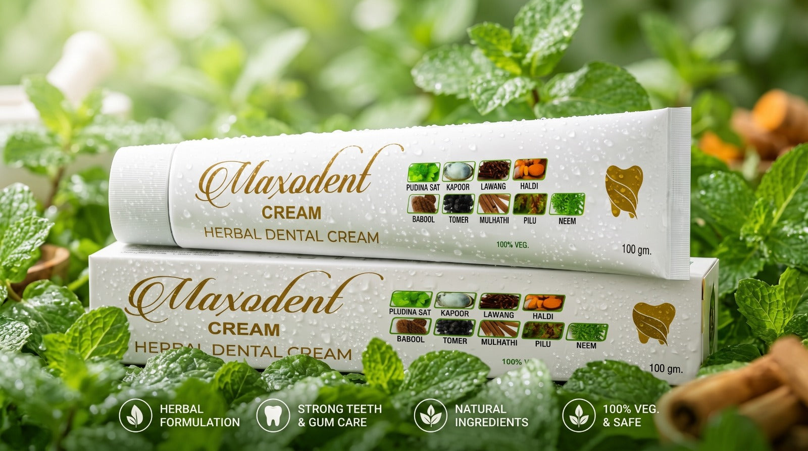 Maxodent Toothpaste | Fresh Breath & Cavity Protection | Buy Online(pack of 5)